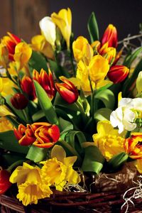 Превью обои тюльпаны, цветы, нарциссы, букет, весна, шикарно, корзина