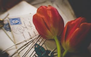 Превью обои тюльпаны, цветы, письма, конверты, эстетика