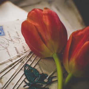 Превью обои тюльпаны, цветы, письма, конверты, эстетика