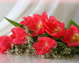 Превью обои тюльпаны, цветы, распущенные, букет, гипсофил, нежность