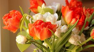 Превью обои тюльпаны, цветы, распущенные, букет, размытость