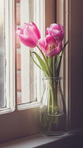 Превью обои тюльпаны, цветы, ваза, окно