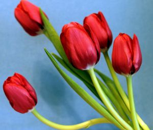 Превью обои тюльпаны, цветы, весна, букет, фон