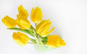 Превью обои тюльпаны, цветы, желтые, банка, свет