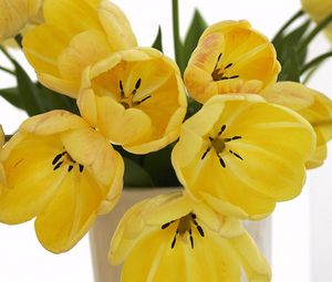 Превью обои тюльпаны, цветы, желтые, распущенные, букет, ваза