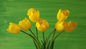 Превью обои тюльпаны, цветы, желтые, фон, ваза