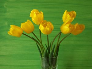 Превью обои тюльпаны, цветы, желтые, фон, ваза