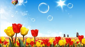 Превью обои тюльпаны, воздушный шар, аэростат, солнце, небо