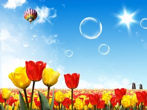 Превью обои тюльпаны, воздушный шар, аэростат, солнце, небо