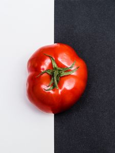Превью обои томат, овощ, минимализм