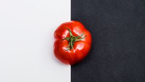Превью обои томат, овощ, минимализм