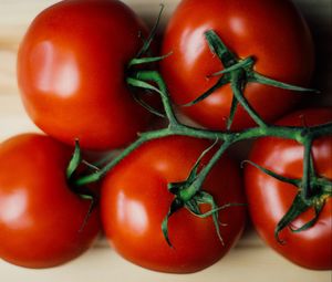 Превью обои томаты, овощи, ветка, витамины