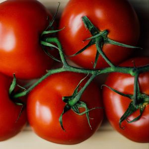 Превью обои томаты, овощи, ветка, витамины