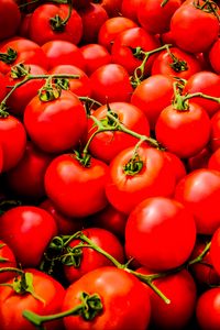 Превью обои томаты, овощи, ветки, красный, макро