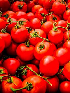 Превью обои томаты, овощи, ветки, красный, макро