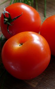 Превью обои томаты, помидоры, спелый, овощ