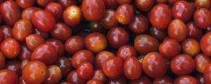 Превью обои томаты, помидоры, спелый, овощи
