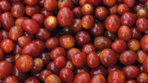 Превью обои томаты, помидоры, спелый, овощи