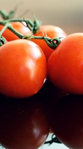 Превью обои томаты, спелый, овощи, отражение