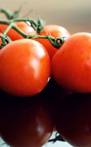 Превью обои томаты, спелый, овощи, отражение