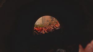 Превью обои тоннель, труба, темный, листья, осень