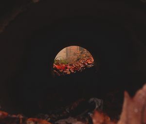 Превью обои тоннель, труба, темный, листья, осень