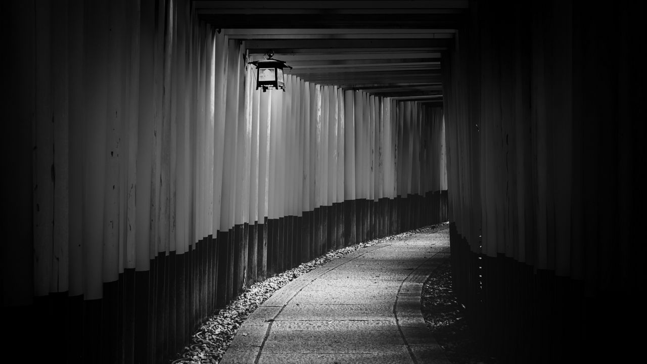 Обои тоннель, ворота, храм, япония, черно-белый