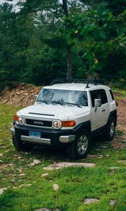 Превью обои toyota fj cruiser, toyota, автомобиль, внедорожник, серый, лес, трава