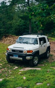 Превью обои toyota fj cruiser, toyota, автомобиль, внедорожник, серый, лес, трава