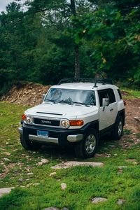 Превью обои toyota fj cruiser, toyota, автомобиль, внедорожник, серый, лес, трава