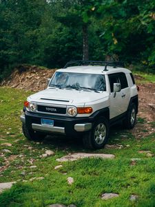 Превью обои toyota fj cruiser, toyota, автомобиль, внедорожник, серый, лес, трава