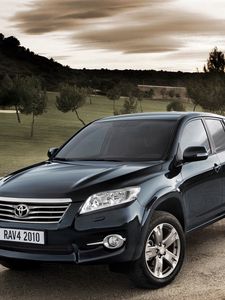 Превью обои toyota rav4, черный, природа, вид сбоку