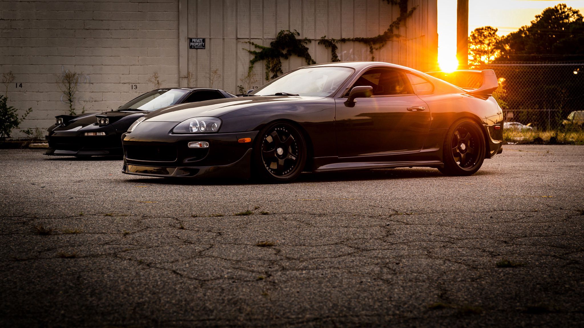 Supra a80 Neon