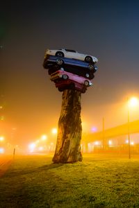Превью обои trans am totem, инсталляция, автомобили, арт-объект, дерево, ночной город, туман, ванкувер