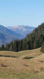 Превью обои трава, деревья, горы, пейзаж