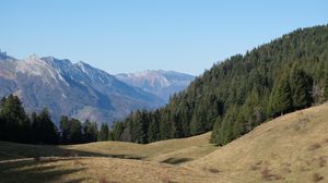 Превью обои трава, деревья, горы, пейзаж