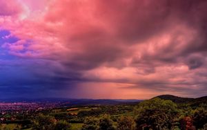 Превью обои трава, деревья, небо, закат