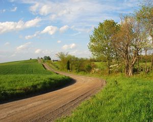 Превью обои трава, деревья, тропинка, поворот