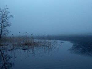 Превью обои трава, дерево, болото, туман