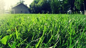 Превью обои трава, дом, лето, свет, макро, зелень, солнечно