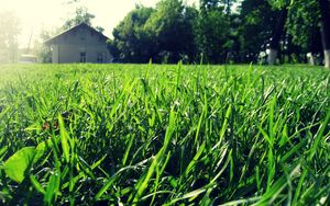 Превью обои трава, дом, лето, свет, макро, зелень, солнечно