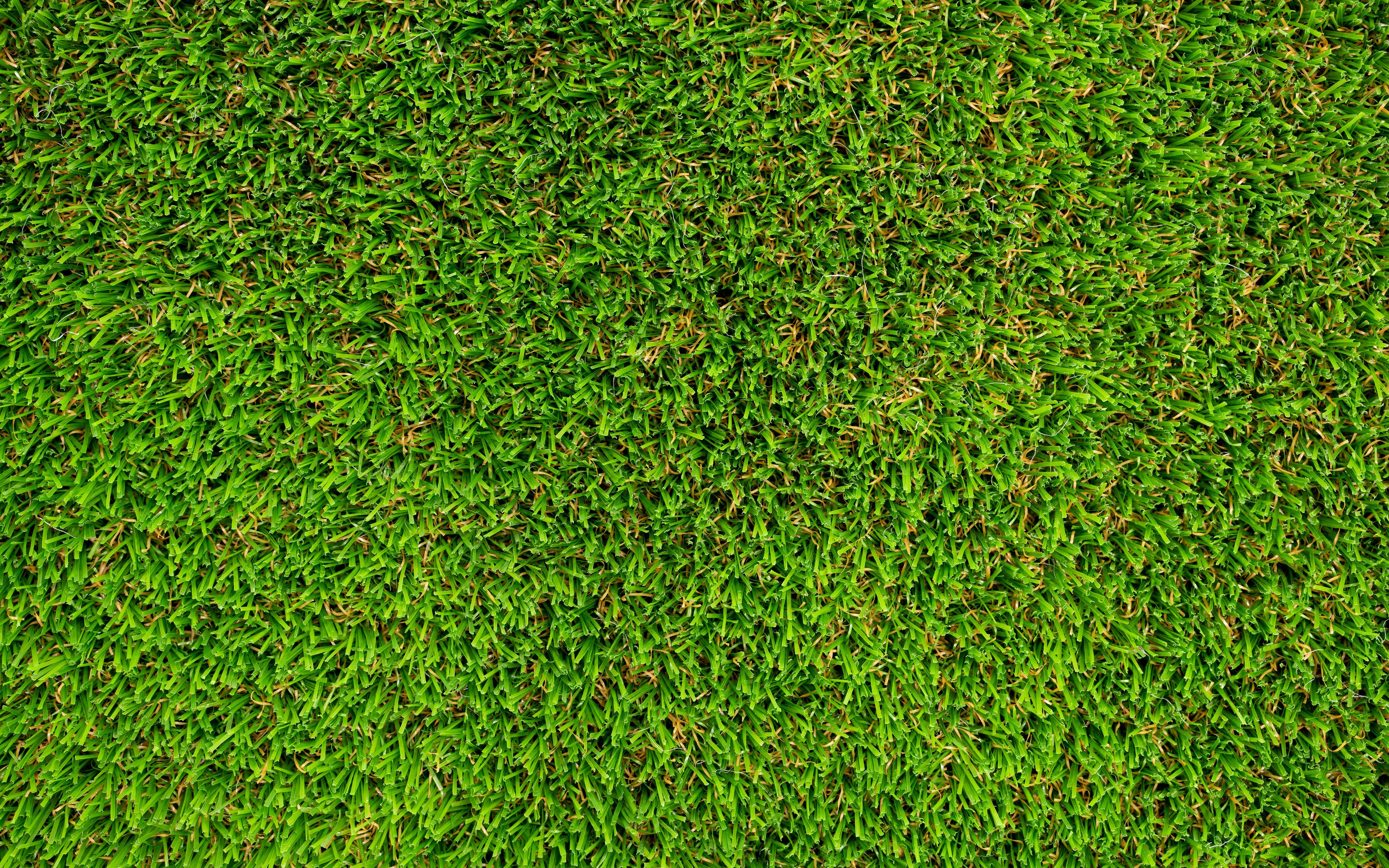 Искусственный газон текстура