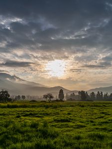 Превью обои трава, холмы, деревья, небо