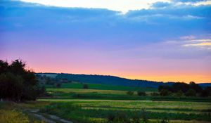 Превью обои трава, небо, закат