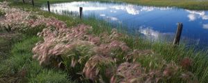 Превью обои трава, ограждение, озеро, отражение, небо