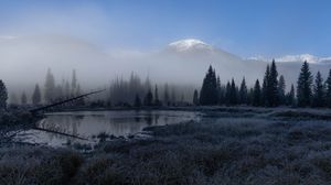 Превью обои трава, озеро, деревья, лес, туман, горы, пейзаж, темный