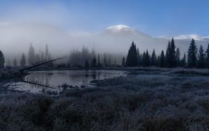 Превью обои трава, озеро, деревья, лес, туман, горы, пейзаж, темный