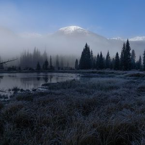 Превью обои трава, озеро, деревья, лес, туман, горы, пейзаж, темный
