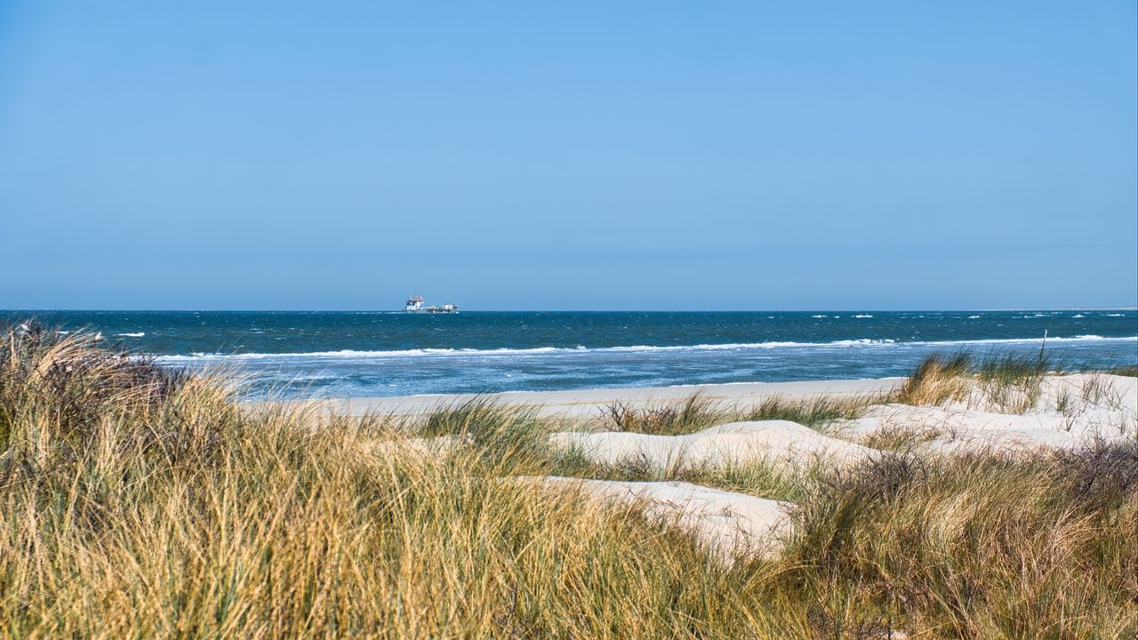 Обои трава, пляж, море, волны, горизонт, небо, пейзаж