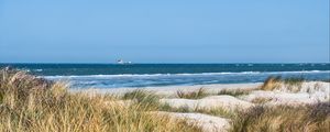 Превью обои трава, пляж, море, волны, горизонт, небо, пейзаж